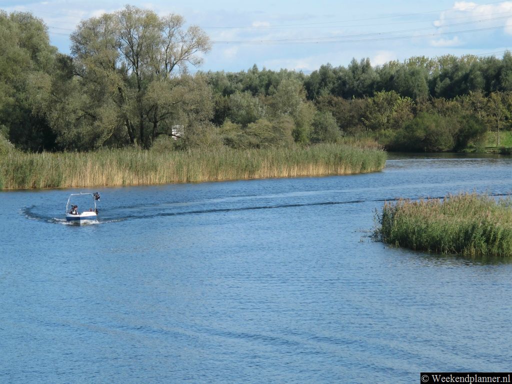 De Biesbosch bestaat uit veel water met eilanden. Deze eilanden zijn meestal alleen met een boot te bereiken.Tips: Botenverhuur en rondvaarten in de Biesbosch.